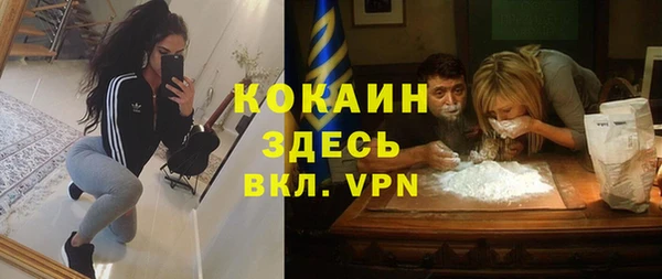 ГАЛЛЮЦИНОГЕННЫЕ ГРИБЫ Баксан