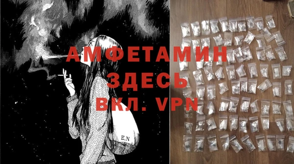 ГАЛЛЮЦИНОГЕННЫЕ ГРИБЫ Баксан