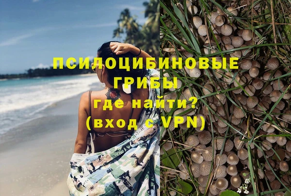 ГАЛЛЮЦИНОГЕННЫЕ ГРИБЫ Баксан