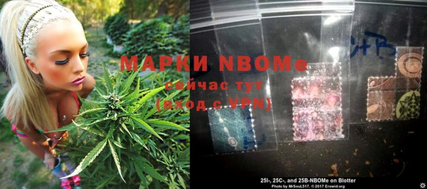 ГАЛЛЮЦИНОГЕННЫЕ ГРИБЫ Баксан