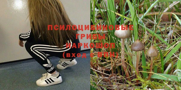 дурь Балабаново