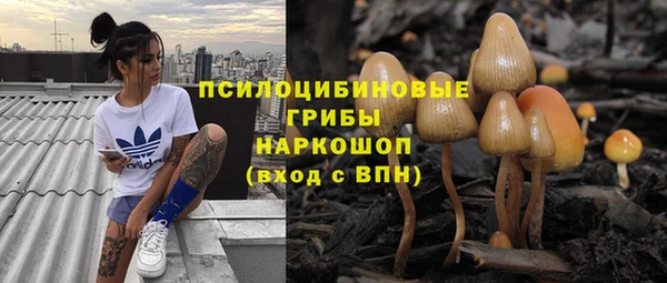 ГАЛЛЮЦИНОГЕННЫЕ ГРИБЫ Баксан