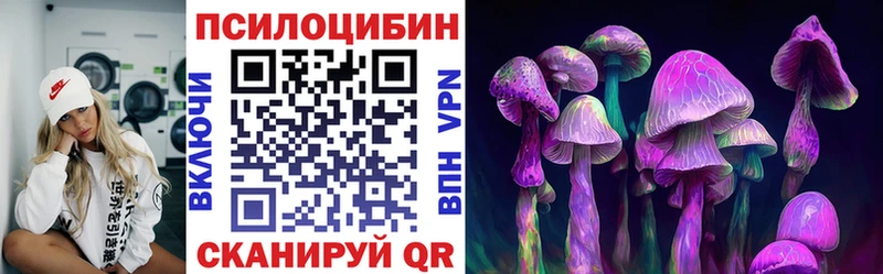 Псилоцибиновые грибы мицелий  купить наркотик  Ставрополь 